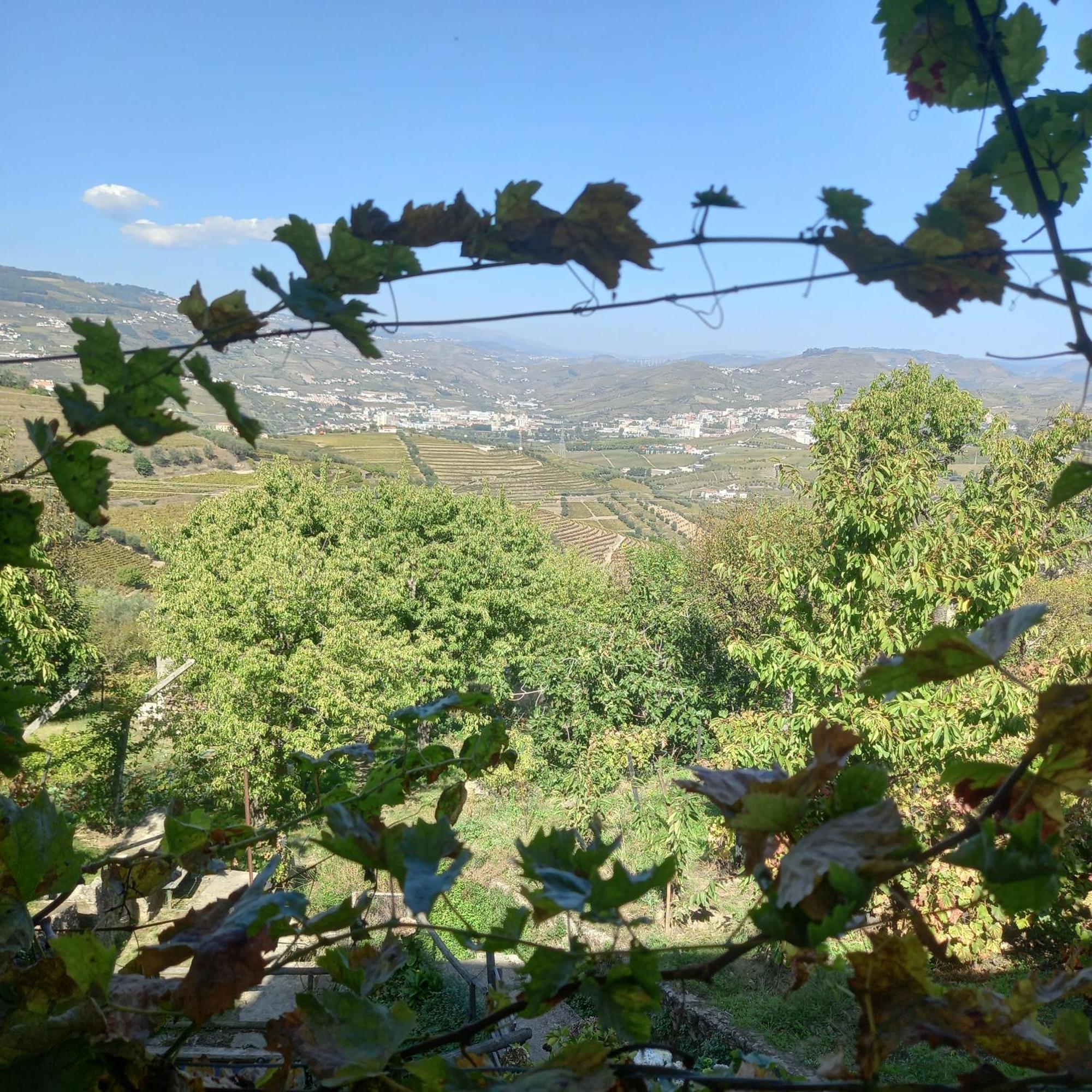 Quinta Casa Do Quintal Lamego Quarto foto